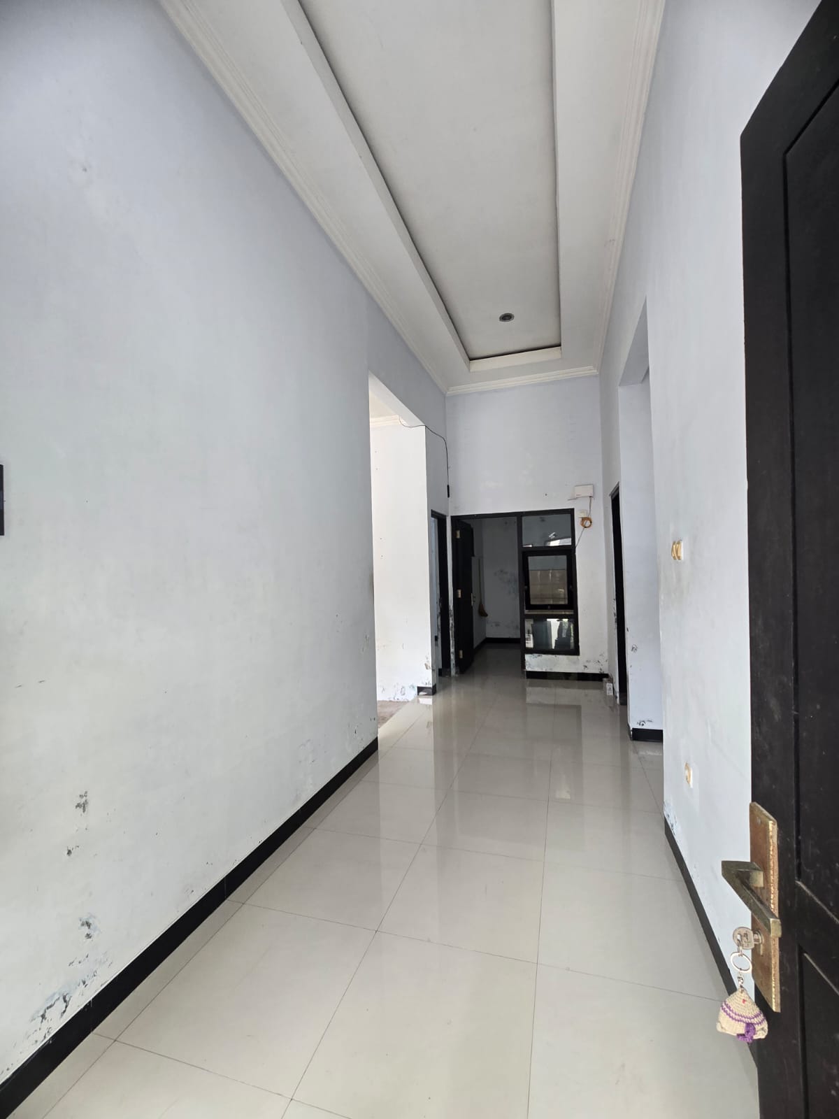 WhatsApp Image 2026-03-09 at 10.11.00 (1)