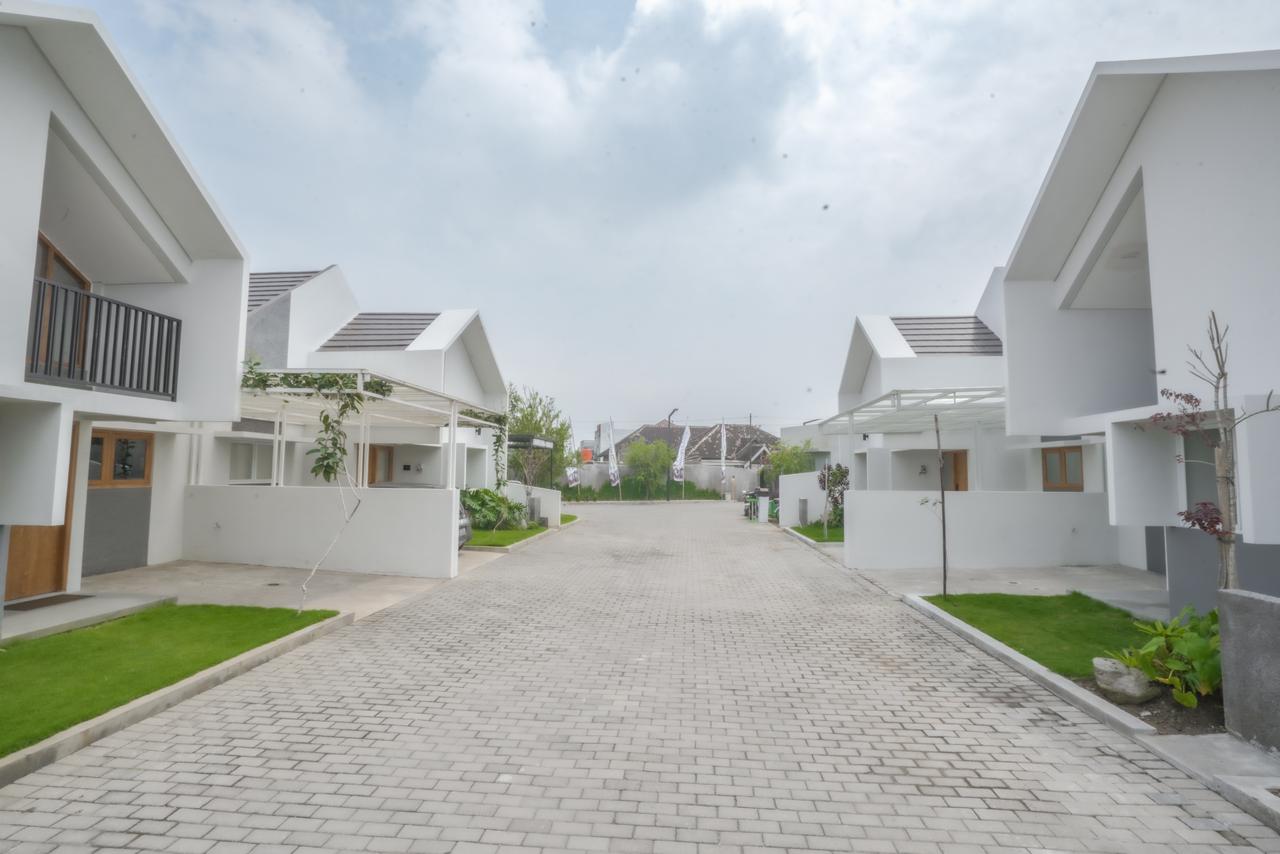 WhatsApp Image 2026-03-24 at 21.19.45